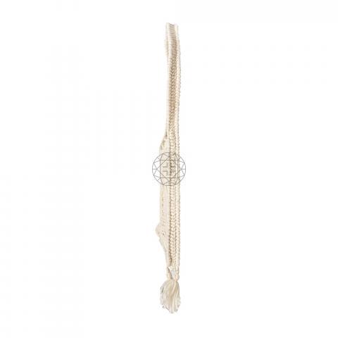 Large Product Preview Image 3